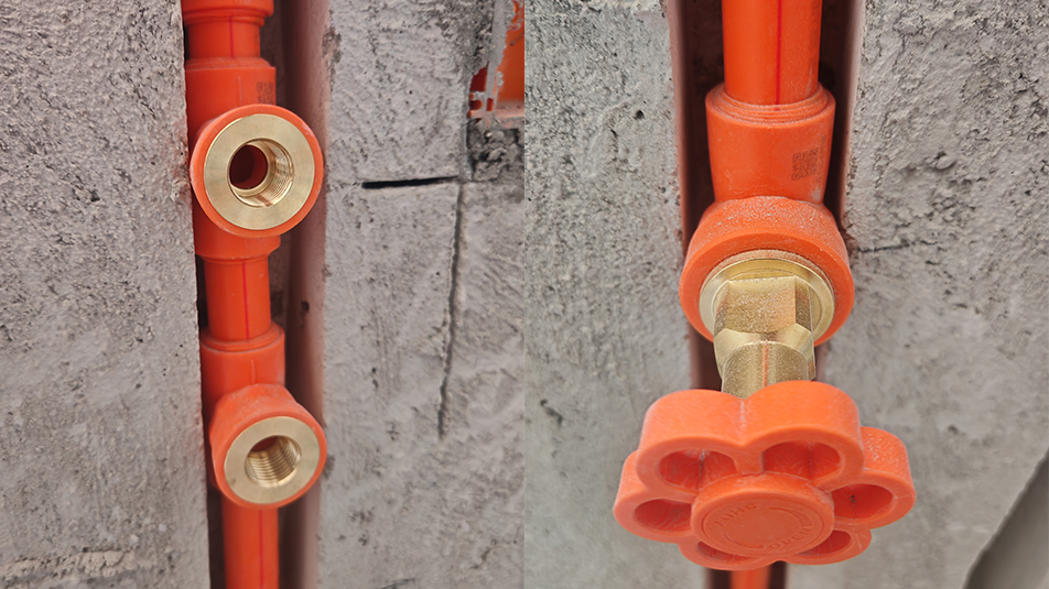 未标题-3